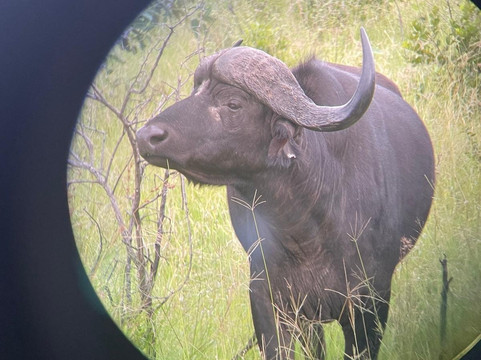 Legend Safaris-雾观必去景点