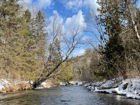 Pine River Paddlesports Center-Wellston必去景点