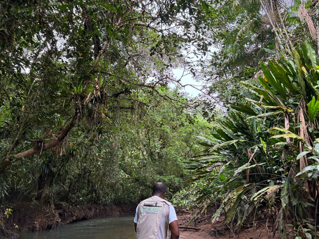 Tundo Tours-Bahia Solano必去景点