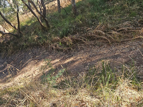 Honeysuckle Walking Track-Strathbogie必去景点