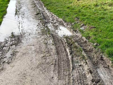 WWT Steart Marshes-布里奇沃特必去景点
