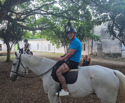 Legasea Stables Mauritius-Quatre Cocos必去景点