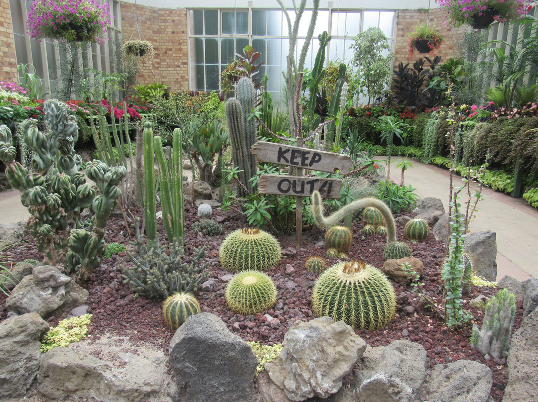 Winter Garden Auckland Domain-奥克兰中心地区必去景点