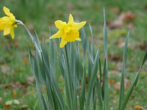 刈草农场酒店主图