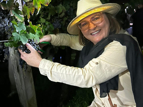 Vinhos Larentis-本图贡萨尔维斯必去景点