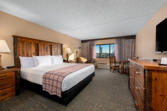 奥扎克斯酒店-客卧