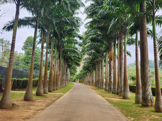 Sheya Tours-Ja Ela必去景点