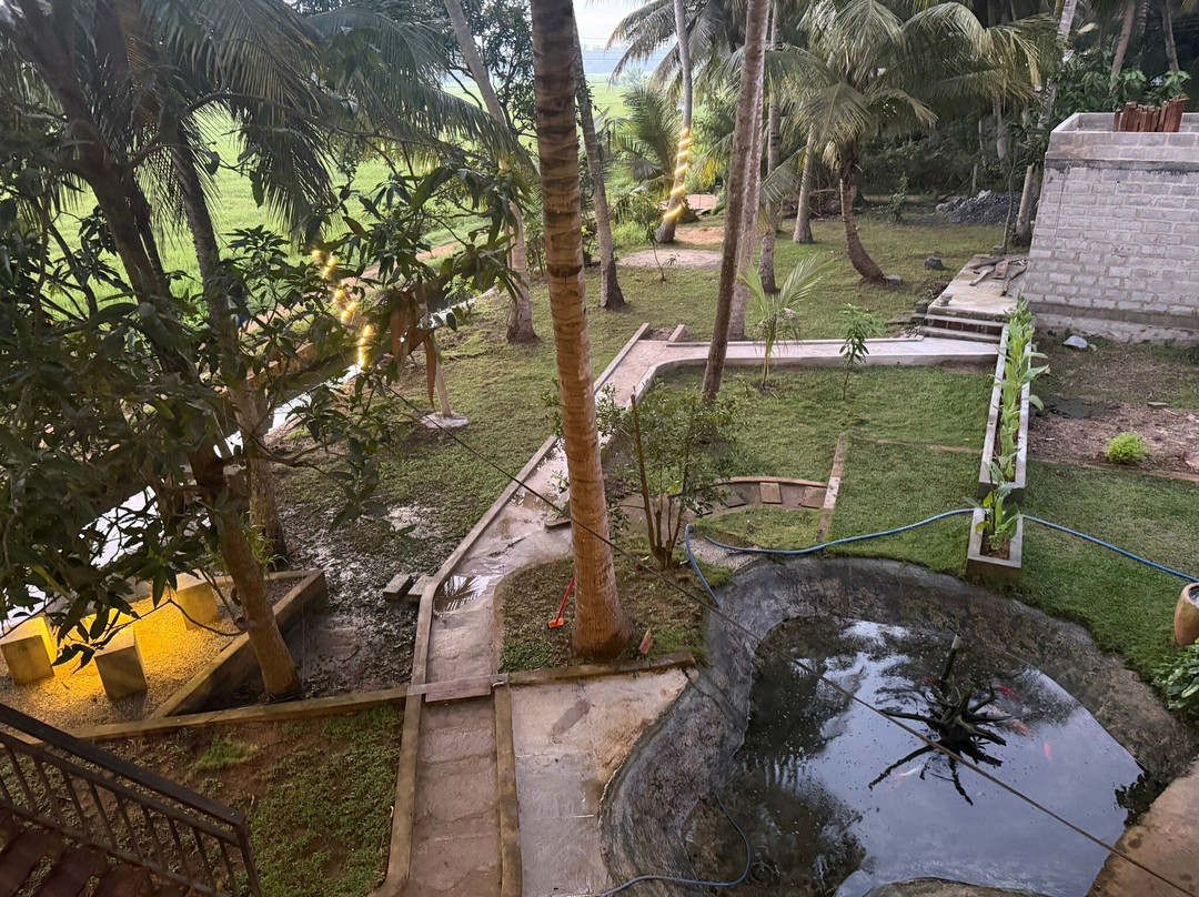 Village Mango Resort Yala主图