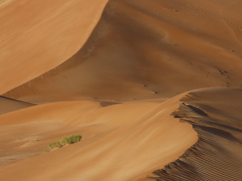 Arabian Sands Tours Oman-塞拉莱必去景点