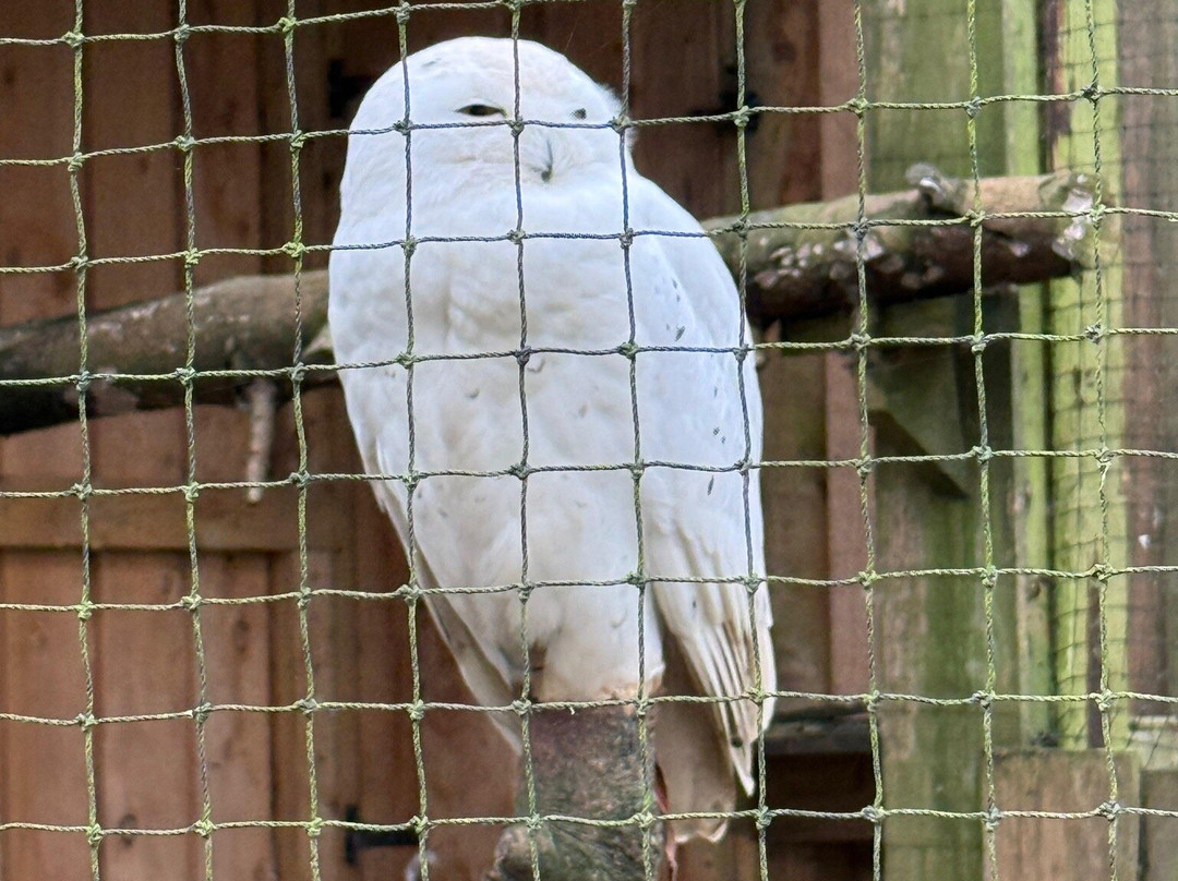 Northumberland Zoo-莫佩思必去景点