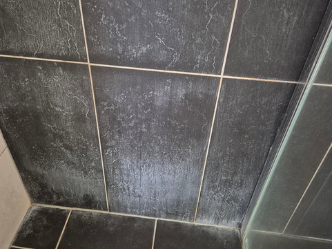 杜鹃汽车旅馆主图