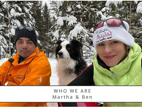 拿破仑之家主图