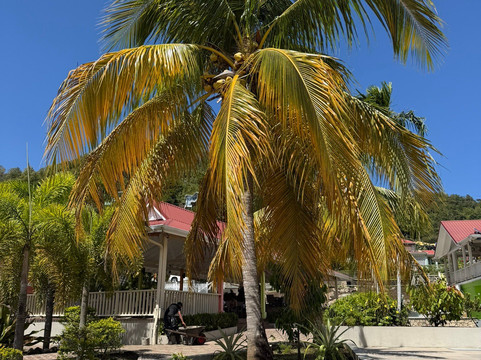 Tri-Island Chocolate Factory-La Mode必去景点