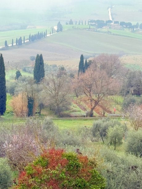乐泰梅酒店-官方