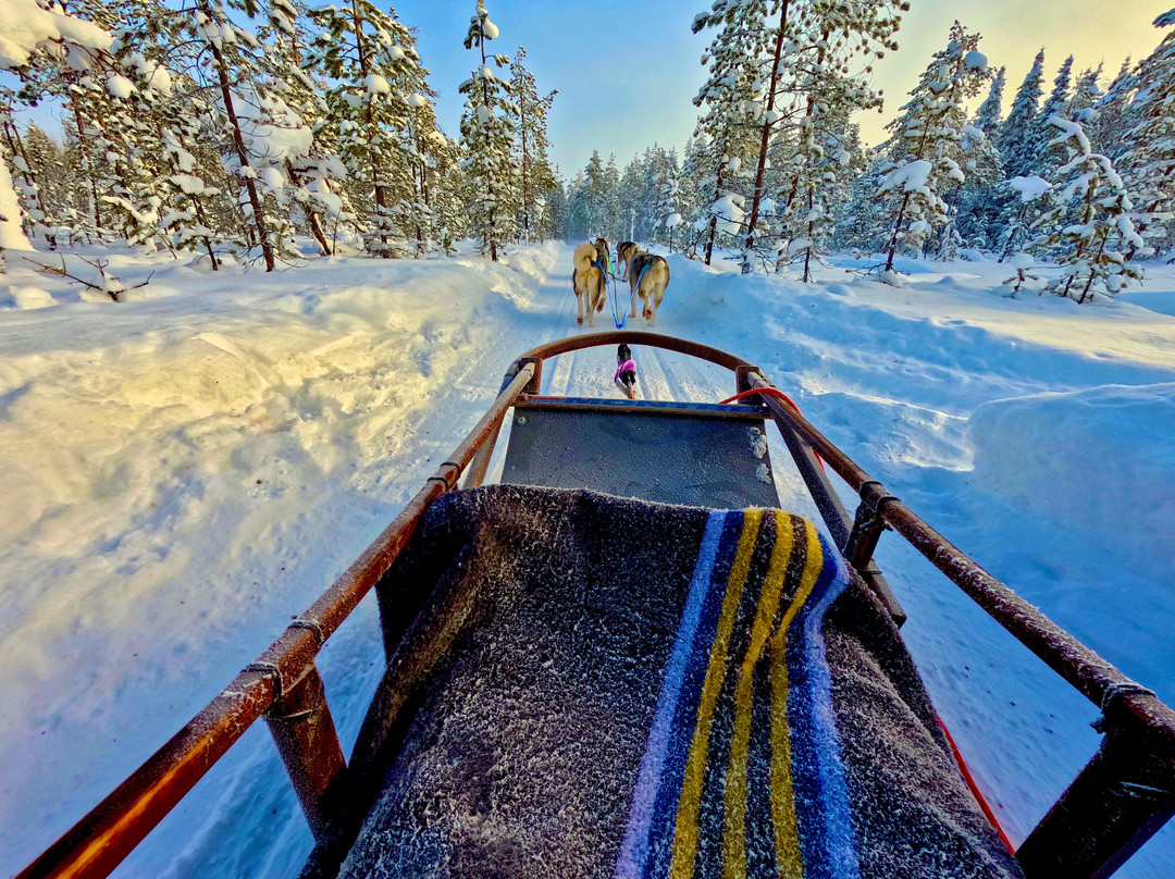 哈士奇雪橇之旅-罗瓦涅米必去景点