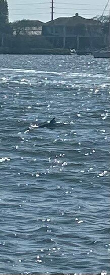 Good Natured River Tours-墨尔本必去景点