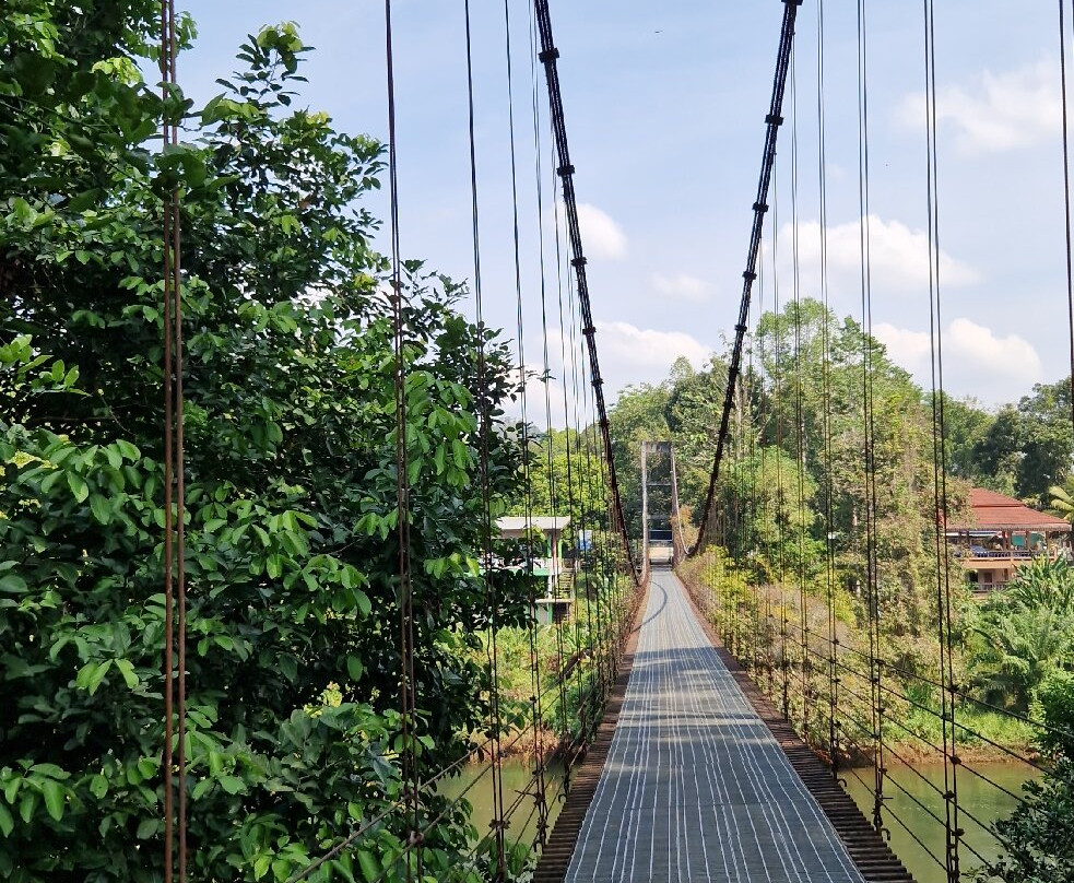 Suspension Bridge, Klong Phasaeng - Khao Heart-万打坤必去景点