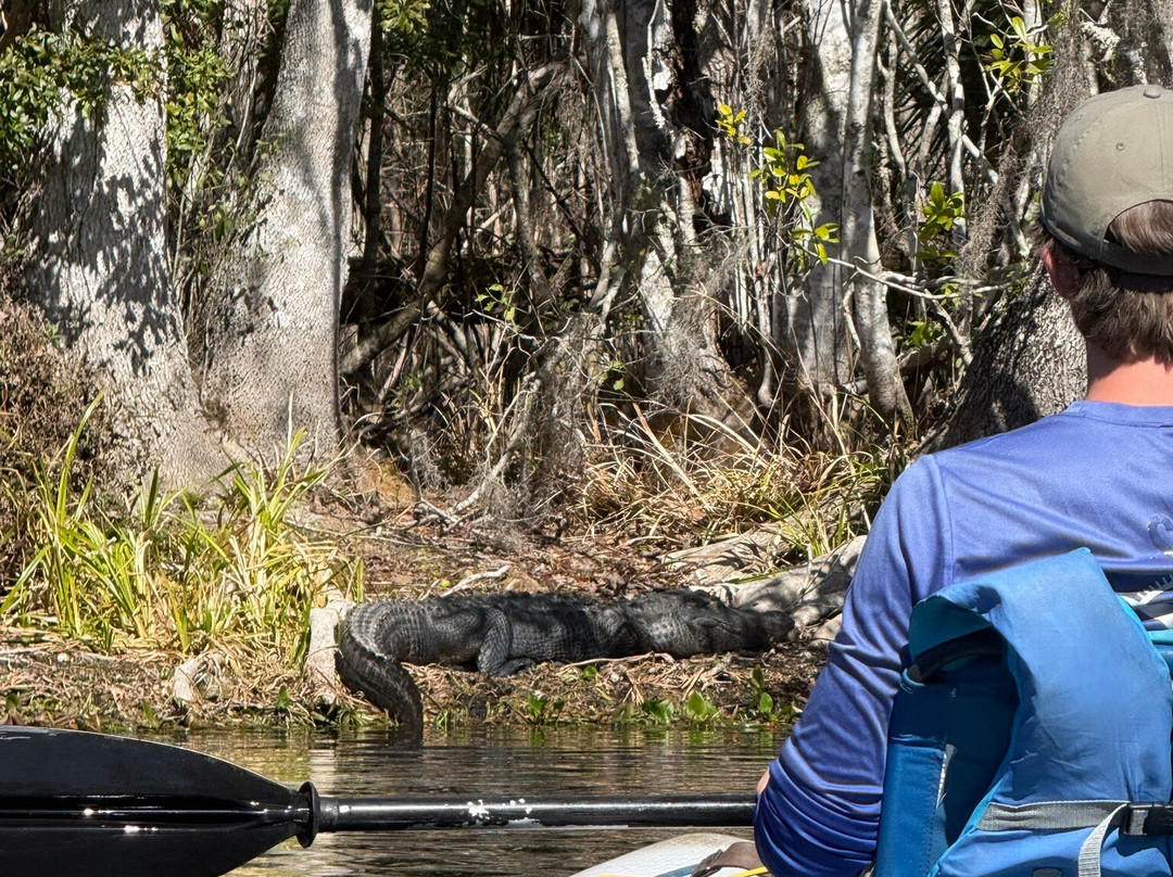 Silver Springs Kayaking LLC-Silver Springs必去景点