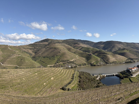 Quinta do Val Moreira-Armamar必去景点