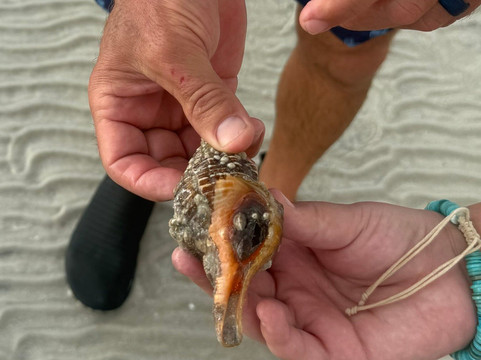 Sea N Things, LLC-Indian Shores必去景点