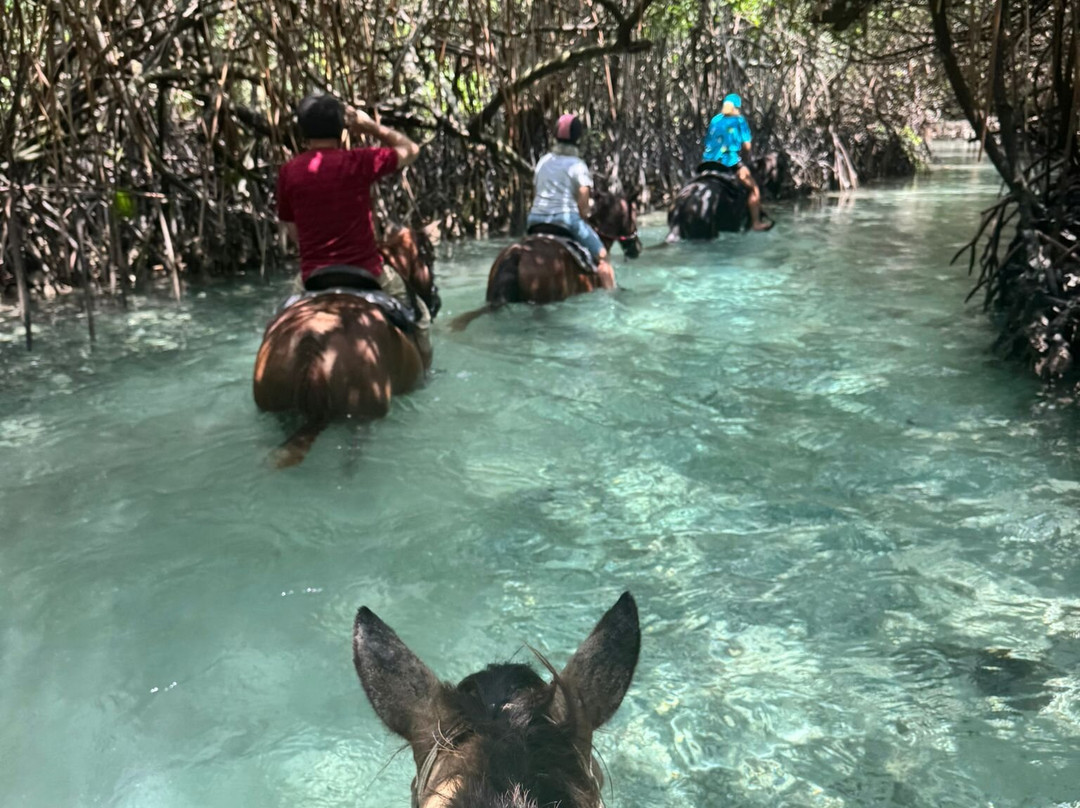 Santo Horse Adventures-卢甘维尔必去景点
