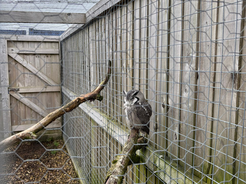Cockfields Farm Park-Ashton-under-Lyne必去景点