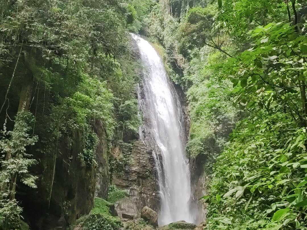 Nikk Adventurous-Wenceslau Braz必去景点