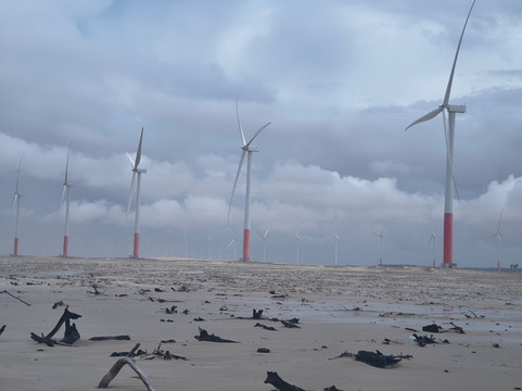 Eco Adventure Tour-Parnaiba必去景点