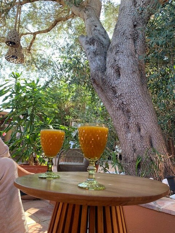 La Posada de Lola - Adults Only主图