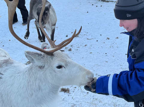 Wild Nordic Levi-Levi必去景点