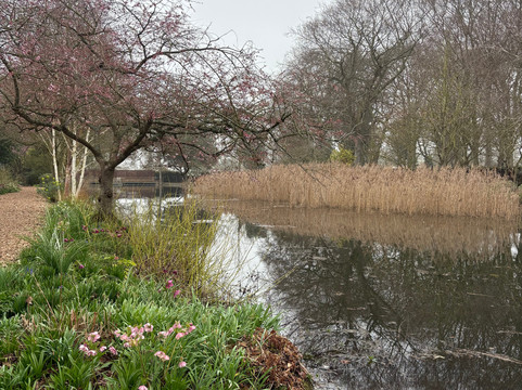 Chippenham Park-Chippenham必去景点