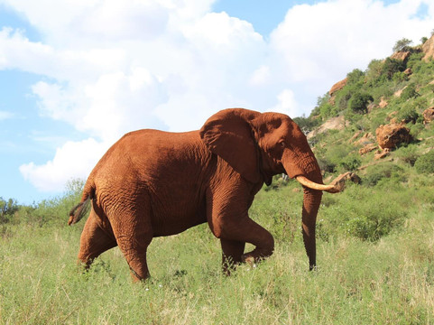 La Toupie Voyageuse-里昂必去景点