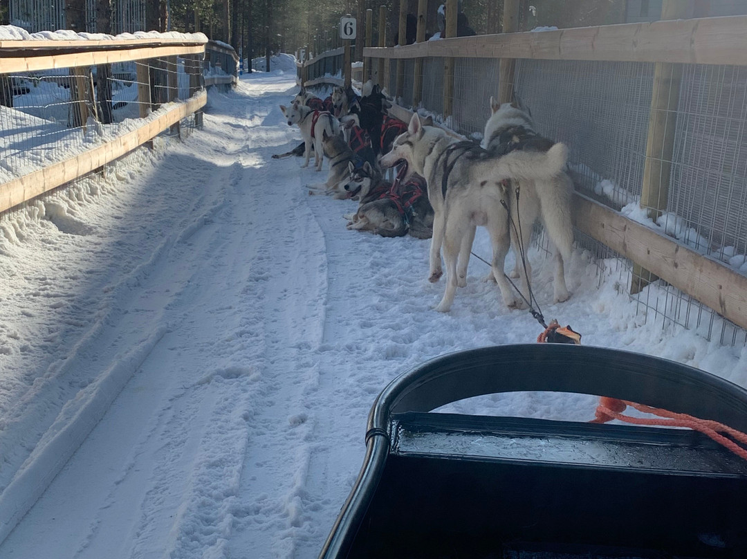 Arctic Circle Husky Park-罗瓦涅米必去景点