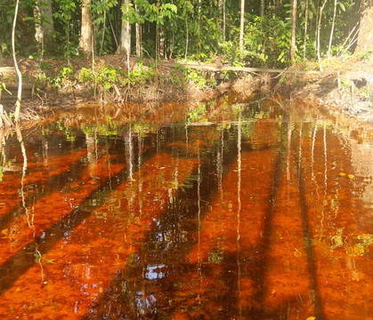 Tomplanmytrip-Copacabana必去景点