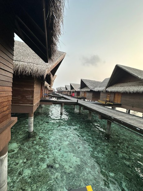 白金岛Adaaran精选酒店-24小时一价全包-距马累机场25分钟-官方