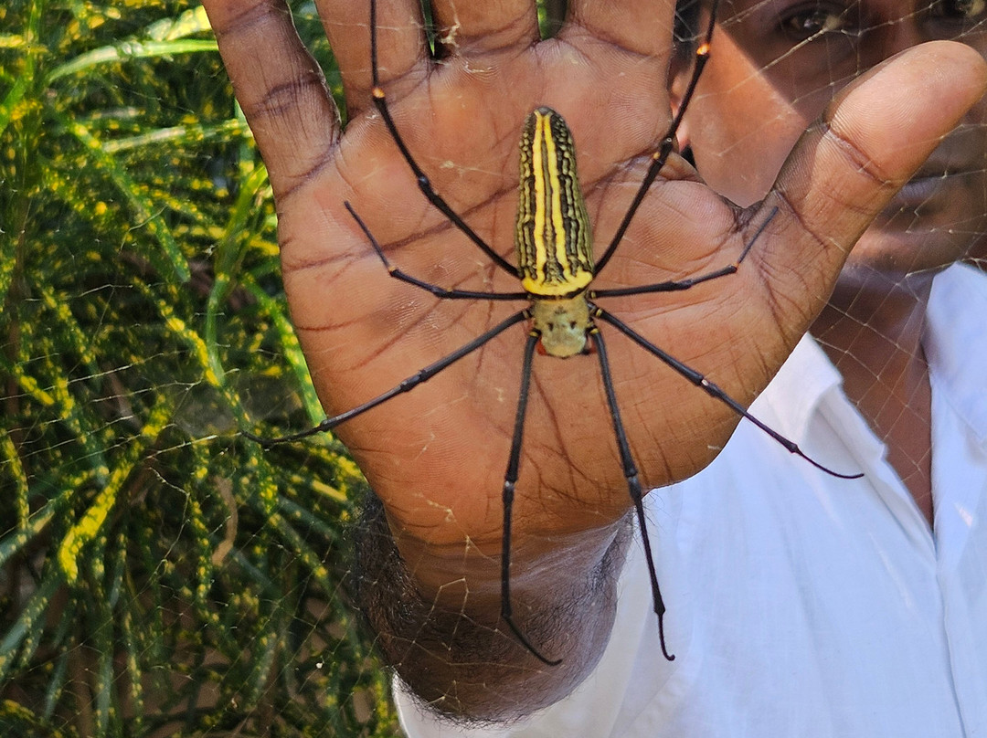 Luckgrove Spice Garden