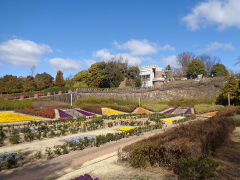 Tegarayama Chuo Park-姬路市必去景点