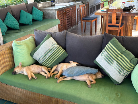 Amba Estate Farmstay主图