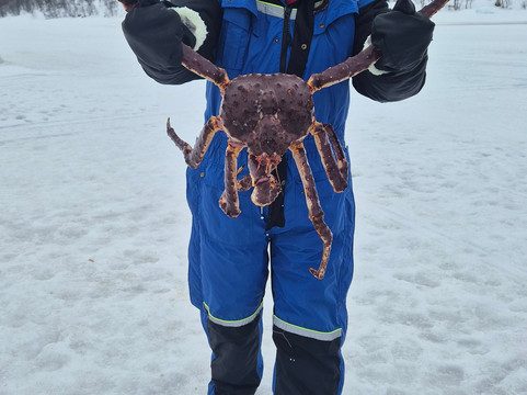 帝王蟹捕捞之旅-希尔克内斯必去景点