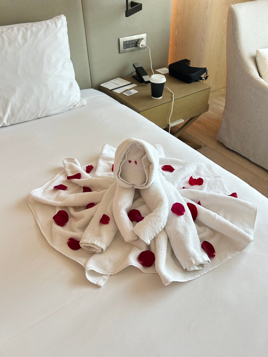 迪拜艾迪逊酒店-官方