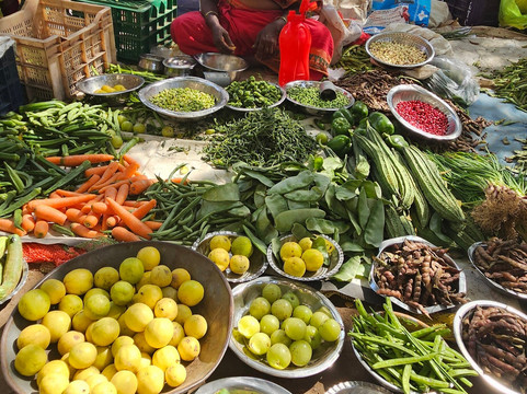 BOUT INDIA TOURS-斋蒲尔必去景点