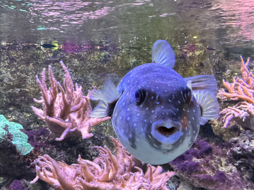 Aquarium De Touraine-Lussault-sur-Loire必去景点