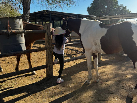 Rancho Animas-Animas Bajas必去景点
