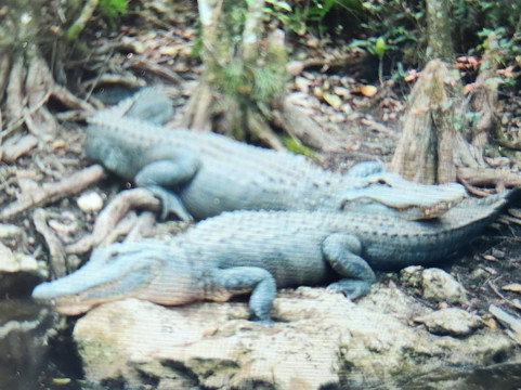 Loop Road-奥乔皮必去景点
