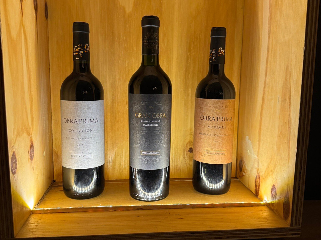 Be Wine Tours-门多萨必去景点