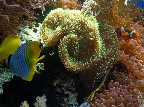 Tiergarten Ulm-乌尔姆必去景点