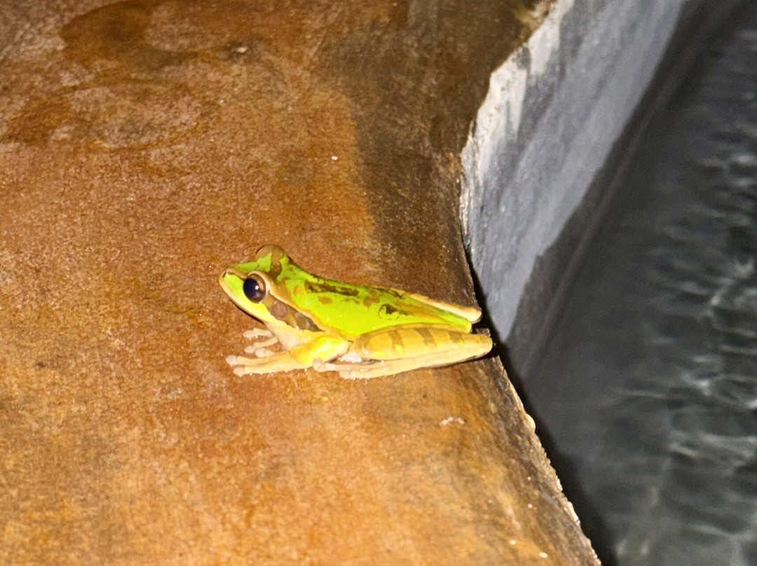 The Wellness Park Arenal & Ecolodge-福德圣卡洛斯必去景点