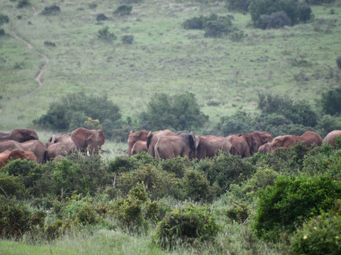 Crisscross Adventures-阿多必去景点