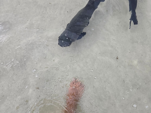 Lagoa dos Tambaquis-阿拉卡茹必去景点