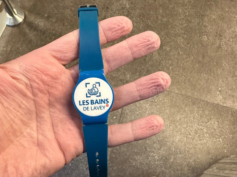 Lavey Les Bains-Lavey-les-Bains必去景点